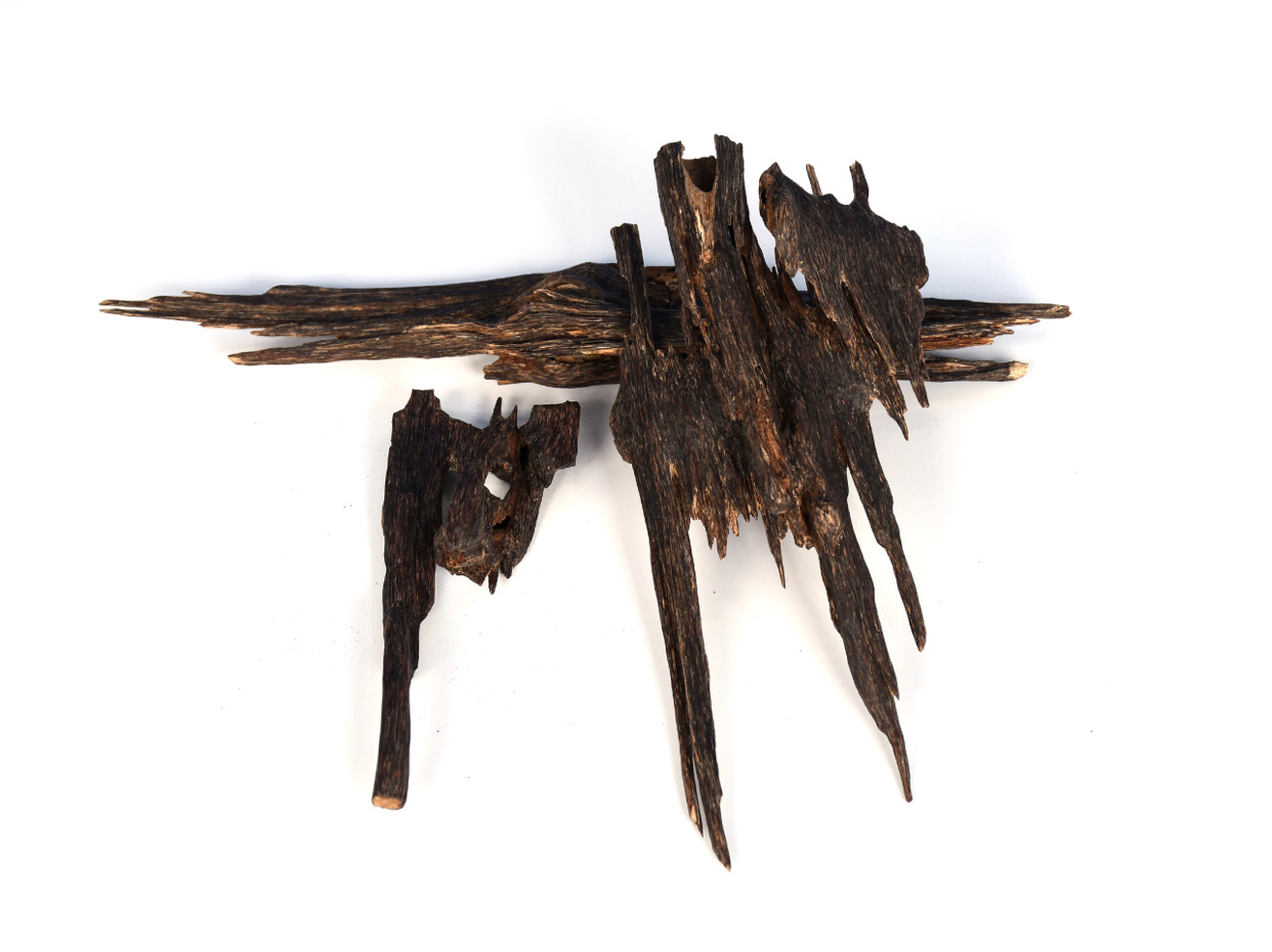 مانيبور الاحمر vip 🇮🇳